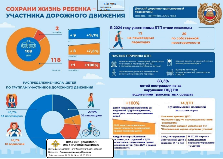 Профилактика детского дорожно-транспортного травматизма.